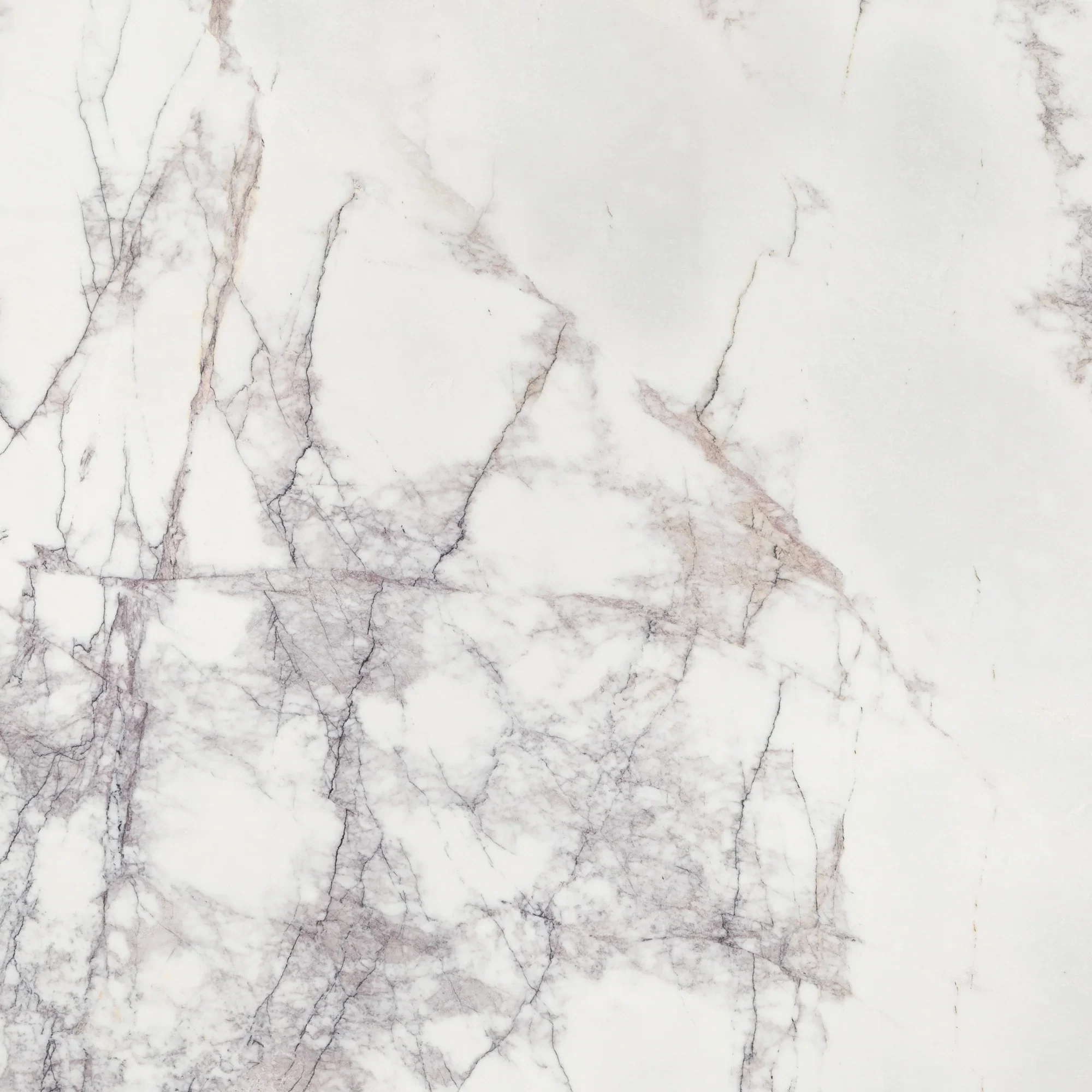 Lilac Marble Texture