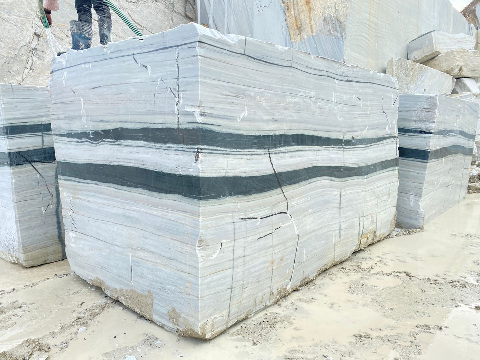 Panda White Marble gallery