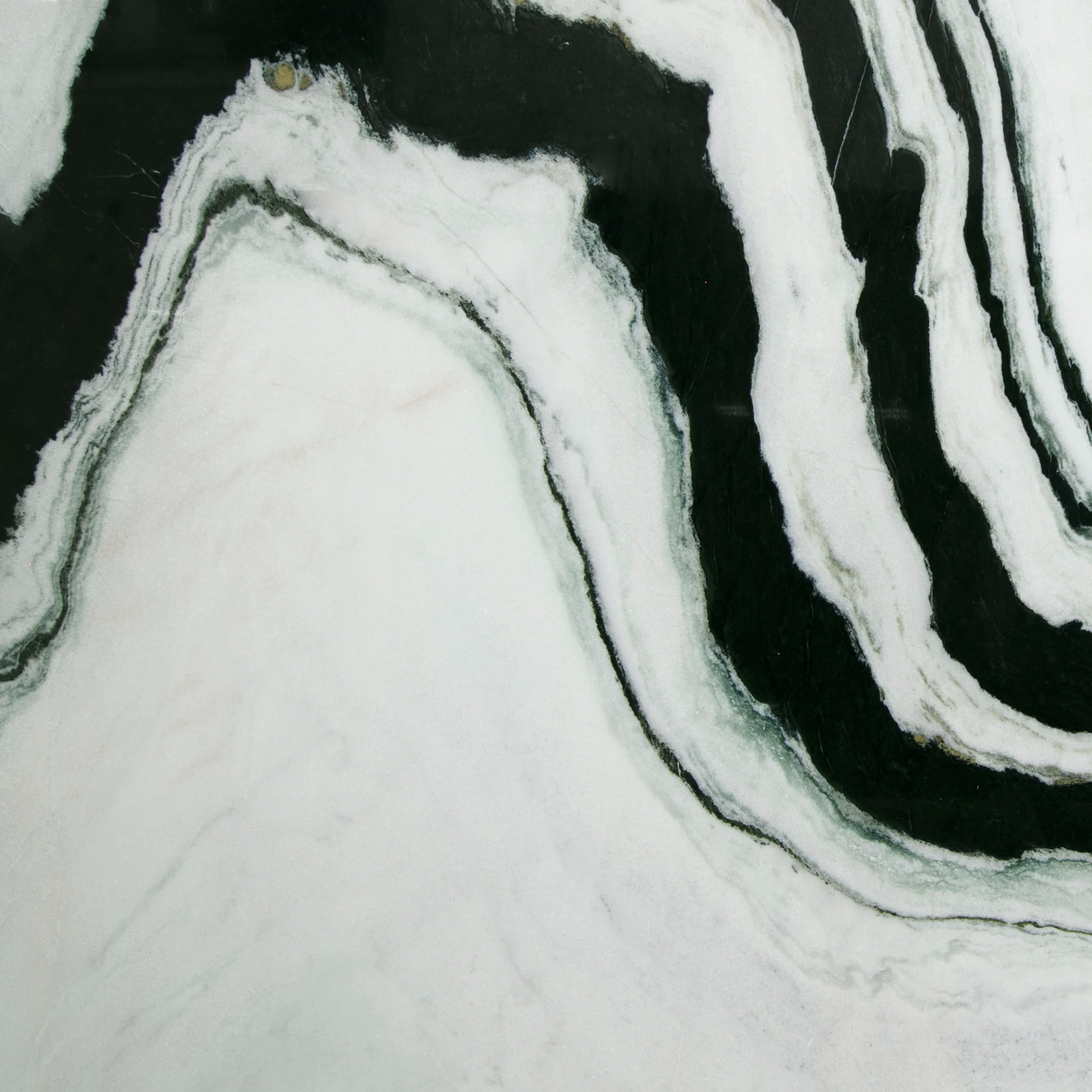 Panda White Marble texture